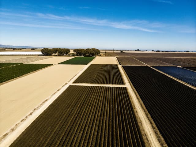 Image for Enhanced infrastructure financing districts and community revitalization and investment areas: allocation of taxes: agricultural land exclusion.