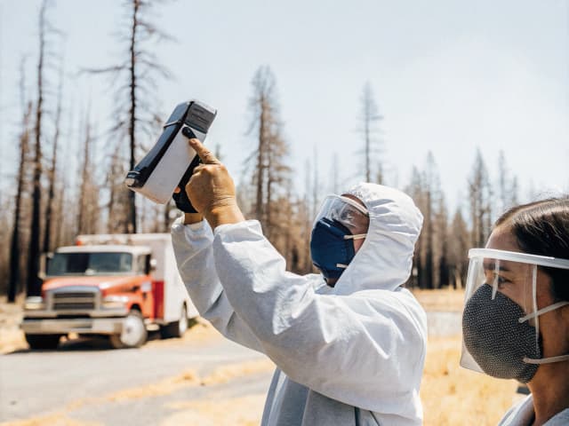 Image for Wildfires: workgroup: toxic heavy metals.
