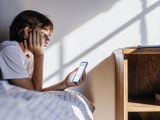 Image for Companion chatbots.