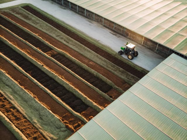 Image for Solid waste: compostable materials.