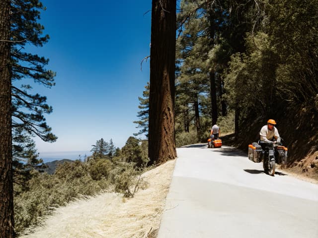 Image for Z’berg-Nejedly Forest Practice Act of 1973: working forest management plans: harvest area.