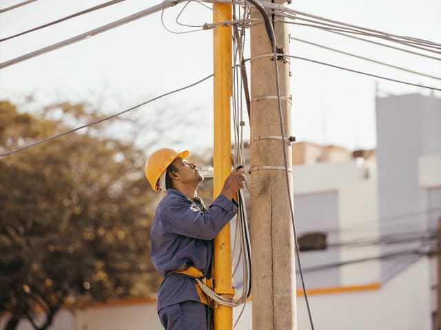 Image for Telephone corporations: carriers of last resort.