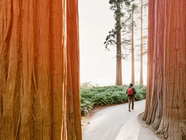 Image for California Trails Conservancy Program.