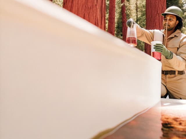 Image for Elections: voting by mail.