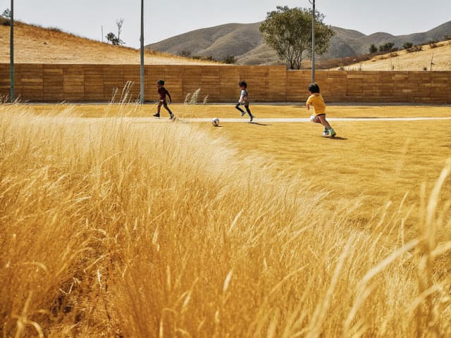 Image for Land conservation: California Wildlife, Coastal, and Park Land Conservation Act: County of San Bernardino.