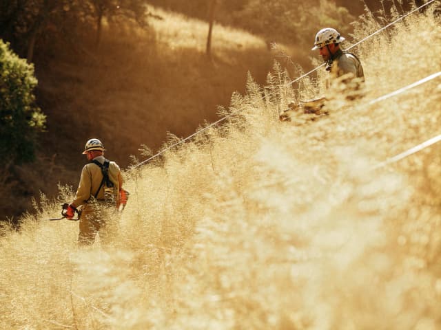 Image for Wildfire prevention activities: Endangered Species Act: California Environmental Quality Act: California Coastal Act of 1973.