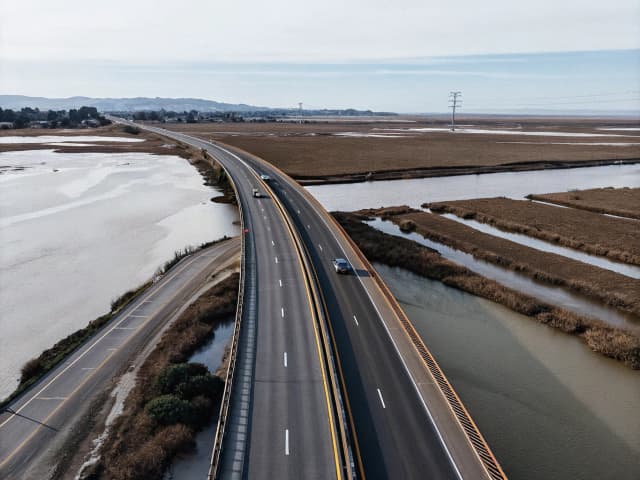 Image for Protected species: authorized take: State Route 37 project.