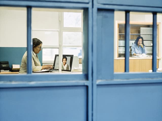 Image for Protective orders: firearms and ammunition.