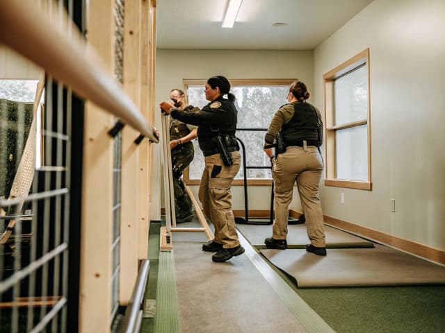 Image for Peace officer training: behavioral health.