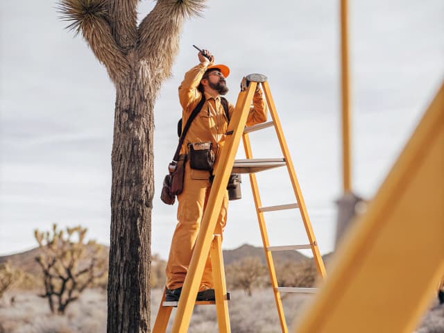 Image for Western Joshua Tree Conservation Act: industrial projects and commercial projects: tree removal and trimming.