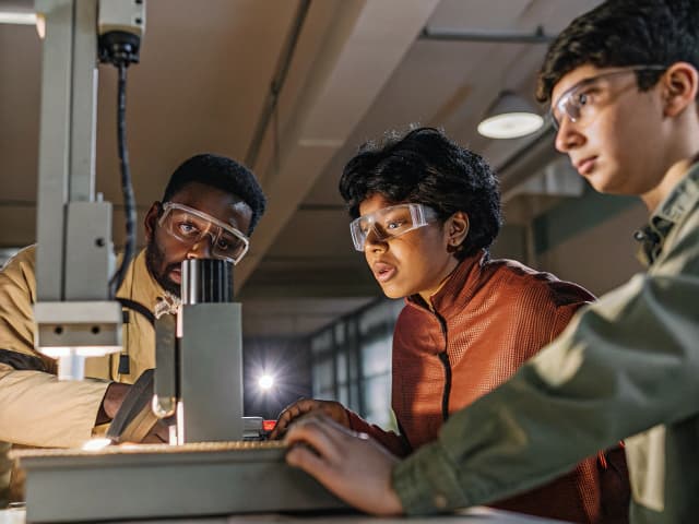 Image for Employment: immigration and work authorization.