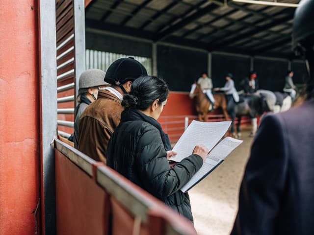 Image for Horses: horse shows, competitions, and sales.