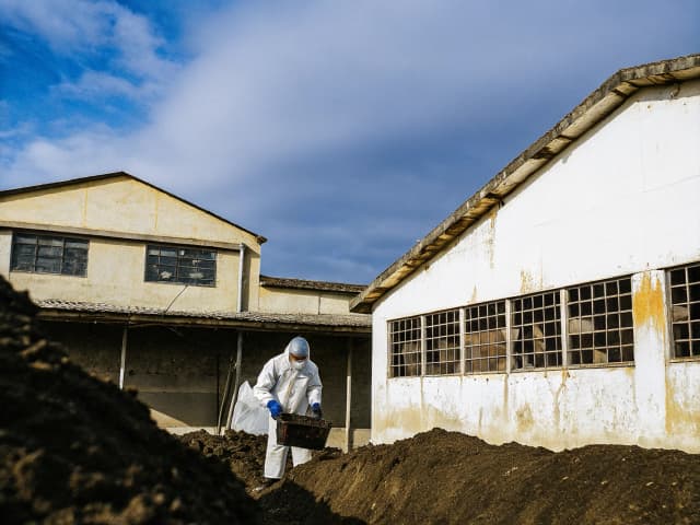 Image for Hazardous materials: California Land Reuse and Revitalization Act of 2004.