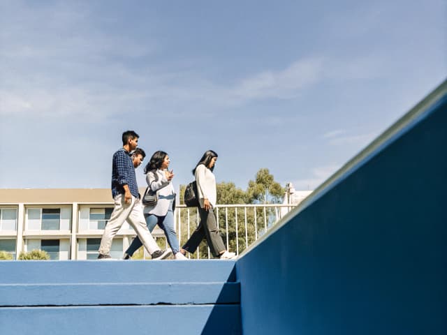 Image for Pupil instruction: statewide dual enrollment framework: advisory board.