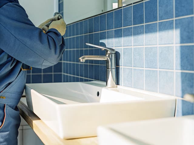 Image for State Government.