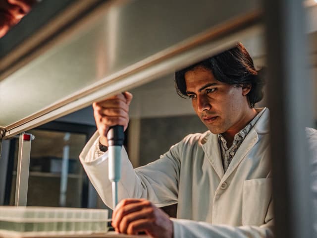 Image for Personal income taxes: credit: manufacturing: sales and use taxes.