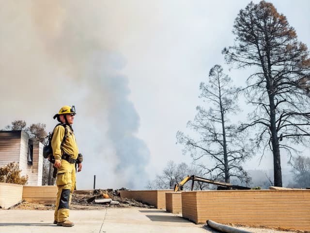 Image for Real property impacted by the 2025 Eaton or Palisades Fires: notification of owner’s intent to sell.