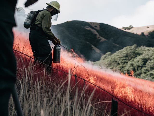 Image for Air quality: wildland vegetation management burning: permits: exemption.