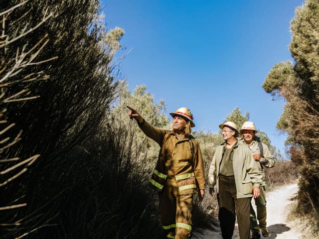 Image for Wildfire safety: fuels reduction projects.