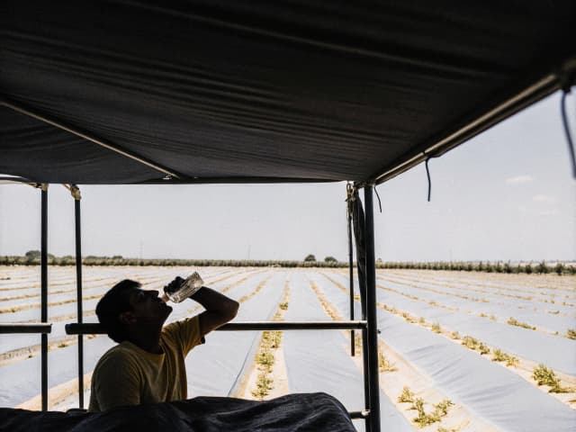 Image for Farmworkers: benefits.