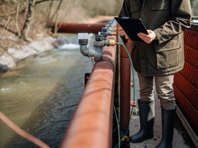 Image for Determination of water rights: stream system.