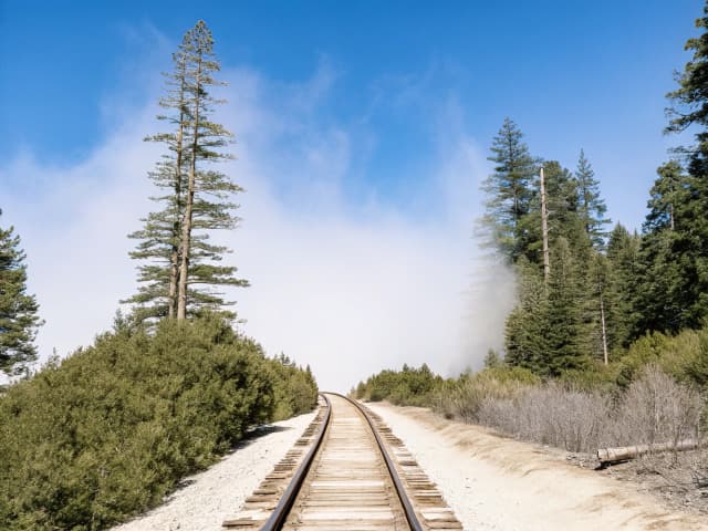 Image for The Great Redwood Trail Agency.